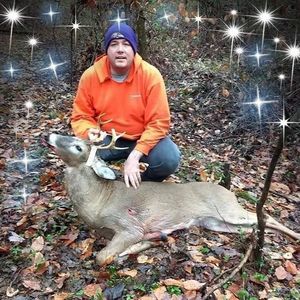 Meet your Posher, Edward